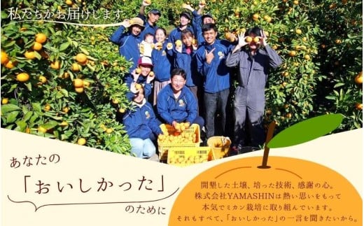 【2026年10月発送予約分】みかん 【家庭用】こだわりの有田みかん 約4kg＋250g(傷み補償分) ※サイズ混合※北海道・沖縄・離島配送不可 ＼光センサー選別／ 【農家直送】 有機質肥料100% みかん ミカン 有田みかん 温州みかん 柑橘 有田 和歌山 【nuk148-10】