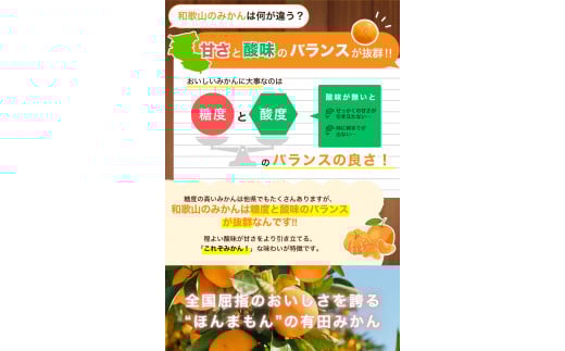 【2026年10月発送予約分】＼光センサー選別／ 【農家直送】【家庭用】こだわりの有田みかん 約5kg＋250g(傷み補償分) 先行予約 有機質肥料100% サイズ混合 【11月発送】【nuk160-10】 