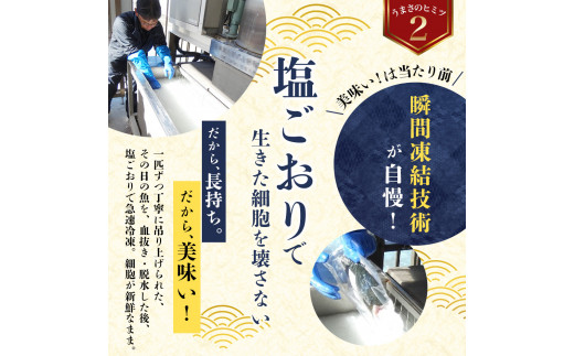 すさみケンケン鰹のたたき 約1kg / 鰹 かつおのたたき 刺身 天然 初ガツオ 初鰹 カツオのたたき 鰹 冷凍 真空 小分け 個包装 魚 和歌山県 鰹 鰹 すさみ町【scp012】