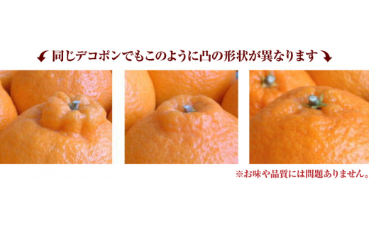 デコ不知火（デコポン） 約5kg/サイズおまかせ　※2026年2月上旬～4月上旬頃に順次発送予定(お届け日指定不可)　紀伊国屋文左衛門本舗　【sutb420A】
