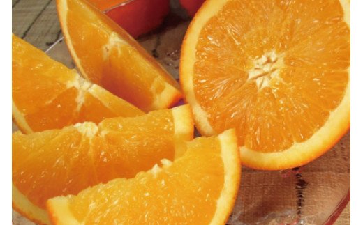 ネーブル 約4.5kg/サイズおまかせ　※2026年1月中旬～2月上旬頃に順次発送予定(お届け日指定不可)　紀伊国屋文左衛門本舗　【sutb431C】