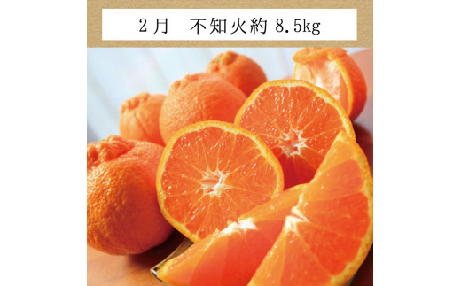 【3か月定期便】たっぷり届く♪訳ありみかんの定期便 / 訳あり 有田みかん 果物 フルーツ 柑橘 みかん ミカン くだもの 定期便 訳ありみかん 和歌山 オレンジ 有田ミカン 蜜柑 【tkb113】