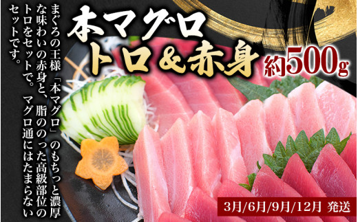 【3ヶ月定期便】◎和歌山うまいもん定期便 国産うなぎ･高級和牛･本マグロの人気返礼品を3回お届け！/ 定期便 定期便 定期便 定期便 定期便 鰻 熊野牛 鮪 まぐろ 定期便 定期便 定期便 定期便 定期便 定期便 定期便 定期便 定期便 定期便【tkb300】