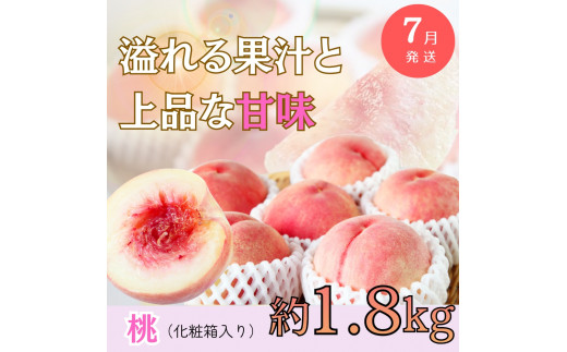 【全3回】旬のフルーツ定期便 【田村みかん 紀州デコ(不知火) 桃】 和歌山の旬をお届け / みかん ミカン 温州みかん 有田みかん 不知火 デコポン 桃 もも モモ 柑橘 フルーツ 果物 くだもの【tkb313】