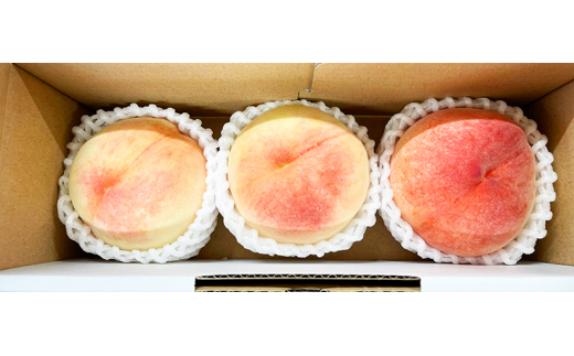 【先行予約】秀品　紀州和歌山産の桃　3玉　化粧箱入　※2026年6月下旬頃〜2026年8月上旬頃順次発送（お届け日指定不可）【uot750】