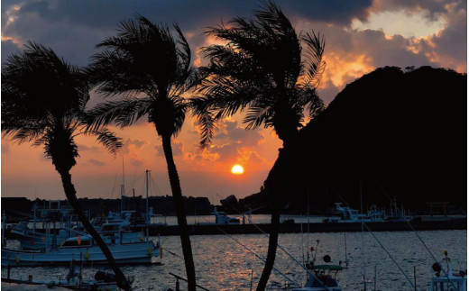 体験ダイビングコース【親子プラン】※5月～10月までの開催 / ダイビング体験 ダイビング 体験 うみ 海 ウミ【air102A】