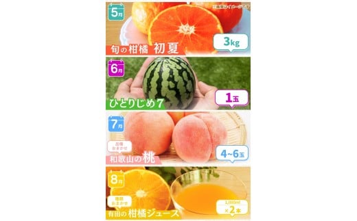 【全12回定期便】 わかやま旬のくだもの定期便 【Ｓ】 （配送日時指定不可）  / 定期便 フルーツ みかん いちご イチゴ 清見オレンジ セミノール 河内晩柑 カラマンダリン すいか 桃 ジュース みかん 柿 完熟みかん【ard-tkb901A】