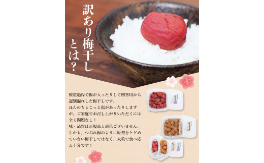 梅干し 紀州南高梅 大粒 しそ 1㎏ 塩分約8% 無選別 ご家庭用 訳あり【khs120】