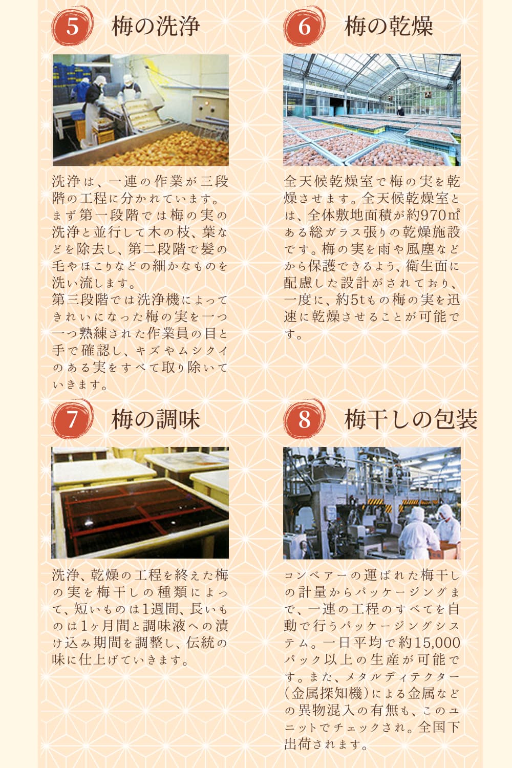 高評価梅干しメーカーより新登場！ 紀州南高梅 大粒 しそ梅干し 200g 塩分約7% 梅 梅干 梅干し うめ ウメ 南高梅 しそ梅 しそ梅干 大粒 お得 ご飯のお供 人気 健康【khs124】