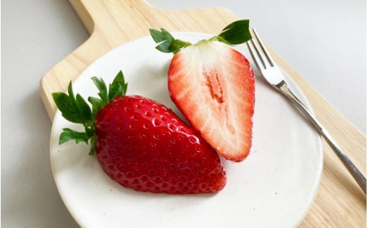 【先行予約】特大まりひめ いちご 朝摘 6個～11個入り×2パック  2026年1月中旬～3月末頃に順次発送予定（お届け日指定不可）/ いちご 苺 まりひめ 和歌山 フルーツ  果物 くだもの【kiy003A】