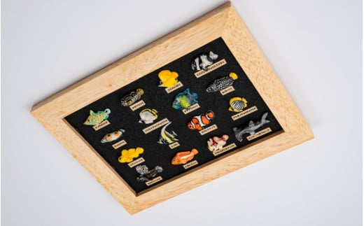 トロピカルフィッシュ16種　レリーフ  /  魚 さかな フィッシュ 釣り 海 うみ クマノミ 海水魚 海の生き物 鍵 かぎ 家 車 自転車 かわいい お土産 雑貨 思い出 プレゼント ギフト すさみ 【mac008A】