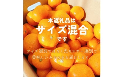 【2026年10月発送予約分】【家庭用】【農家直送】こだわりの有田みかん 約8kg＋250g(傷み補償分) 有機質肥料100% サイズ混合　【10月発送】※北海道・沖縄・離島配送不可【nuk100-10】