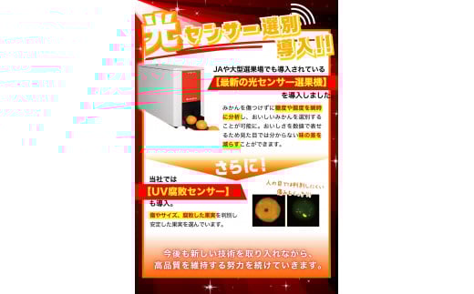 【2026年10月発送予約分】＼光センサー選別／ 【農家直送】【家庭用】こだわりの有田みかん 約5kg＋250g(傷み補償分) 先行予約 有機質肥料100% サイズ混合 【11月発送】【nuk160-10】 