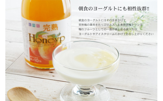 希釈用梅ドリンク 梅ハニップ 完熟梅ハニップ 各3本セット 【11月末より順次発送】【prm022A】