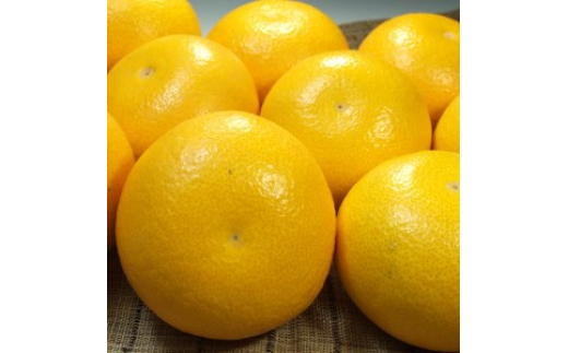 八朔(はっさく)約5kg サイズおまかせ　紀伊国屋文左衛門本舗※2026年1月下旬～4月上旬頃発送予定【sutb410B】