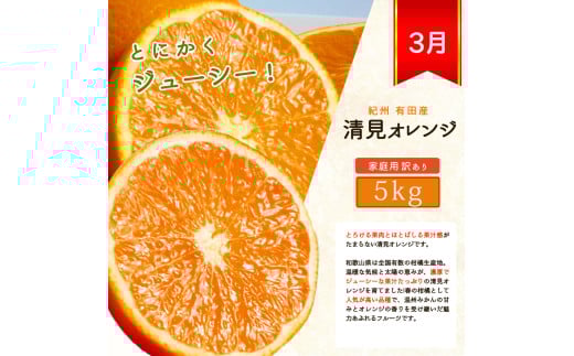 【全3回】紀州和歌山産旬のご家庭用柑橘セット(みかん・不知火・清見)【tkb411】