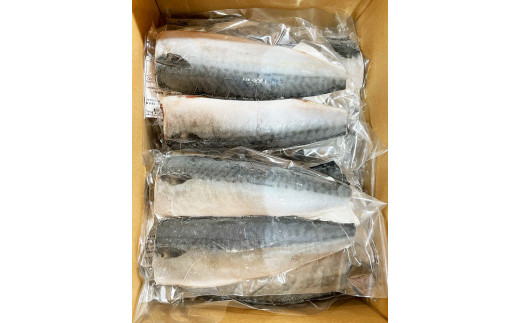 塩さばフィレ 24枚入(真空パック入)/さば サバ 鯖 フィレ 切り身 切身 魚 海鮮 焼き魚 おかず【uot742B-1】
