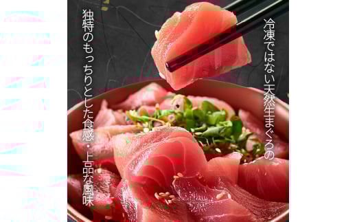 那智勝浦直送！天然生まぐろ 冊 500g / マグロ 鮪  まぐろ メバチ キハダ 魚 海鮮 刺身 柵 さく【uot806】