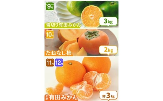 【全12回定期便】 わかやま旬のくだもの定期便 【Ｓ】 （配送日時指定不可）  / 定期便 フルーツ みかん いちご イチゴ 清見オレンジ セミノール 河内晩柑 カラマンダリン すいか 桃 ジュース みかん 柿 完熟みかん【ard-tkb901A】