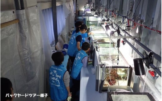 ＼バックヤードツアー付き／　エビとカニの水族館　4名様チケット【ebk103】