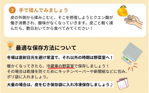 ＜先行予約＞厳選不知火5kg+250g（傷み補償分）【デコポンと同品種・人気の春みかん】＜2月より発送＞ ※北海道・沖縄・離島への配送不可 / みかん ミカン 果物 くだもの フルーツ【ikd162C】