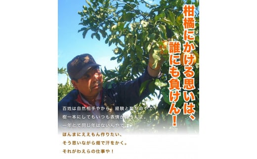 【2026年10月発送予約分】＼光センサー選別／ 【農家直送】【家庭用】こだわりの有田みかん 約2kg  先行予約 有機質肥料100% サイズ混合 【10月発送】みかん ミカン 有田みかん 温州みかん 柑橘 有田 和歌山 ※北海道・沖縄・離島配送不可【nuk159-10】