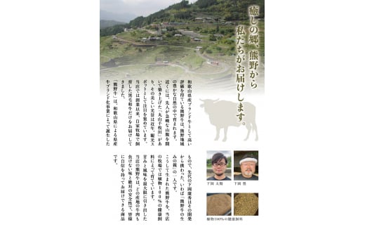 高級和牛 熊野牛 すじ肉 1kg（500g×2パック） 大容量 牛すじ 牛スジ 牛すじ肉 牛筋 牛肉 高級和牛【sim202A】