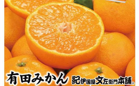 ブランド有田みかん【S】 秀品 10kg 産地直送 ＼薄皮で甘い美味しい