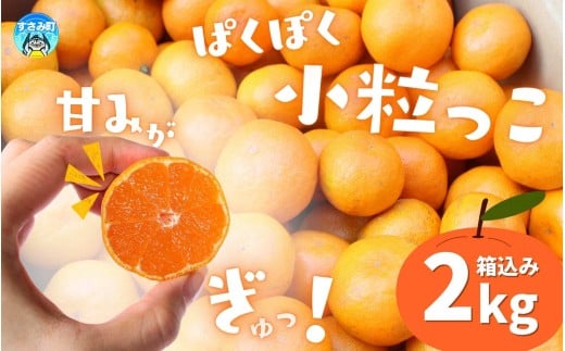  お試しにピッタリ！ 温州みかん 「小粒っこ」 2kg※箱込み ※秀優混合 【2S～3Sサイズおまかせ】【2025年10月中旬～2026年1月下旬までに順次発送】(極早生・早生・中生・晩稲)＜味好農園＞/ 温州 みかん 小玉 蜜柑 柑橘 みかん 極早生 早生 中生 晩稲 小粒 果物 フルーツ 【agy025A】 