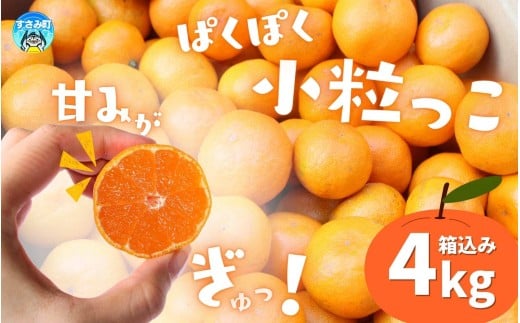  温州みかん 「小粒っこ」 4kg ※箱込み (極早生・早生・中生・晩稲)【2S～3Sサイズおまかせ】【2025年10月中旬～2026年1月下旬までに順次発送】＜味好農園＞/温州 みかん 小玉 蜜柑 柑橘 みかん 極早生 早生 中生 晩稲 小粒 果物 フルーツ 【agy026】 