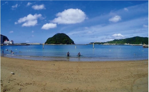 体験ダイビングコース（1名樣） ※5月～10月までの開催 / ダイビング ダイビング体験 体験 和歌山 うみ ウミ 海 【air101A】