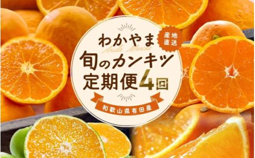【全4回】和歌山旬のカンキツ定期便【S】3・5・9・11月発送（ご家庭用）※北海道・沖縄県・離島への配送不可 / 春の柑橘 初夏の柑橘 青切り 有田みかん 完熟有田みかん フルーツ くだもの 果物【ard-tkb905】