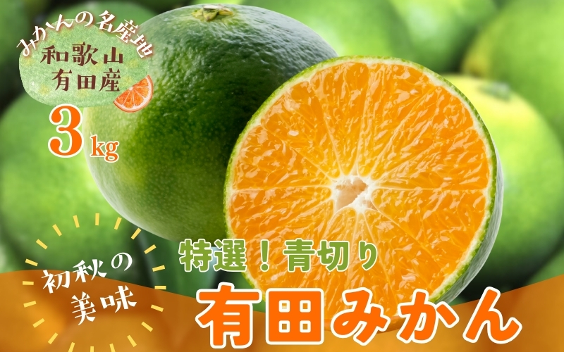 【先行予約】【2026年9月より順次発送】【初秋の美味】【農家直送】特選　青切り有田みかん　約3kg+200g(傷み補償分)　※北海道・沖縄・離島配送不可【ard043C】