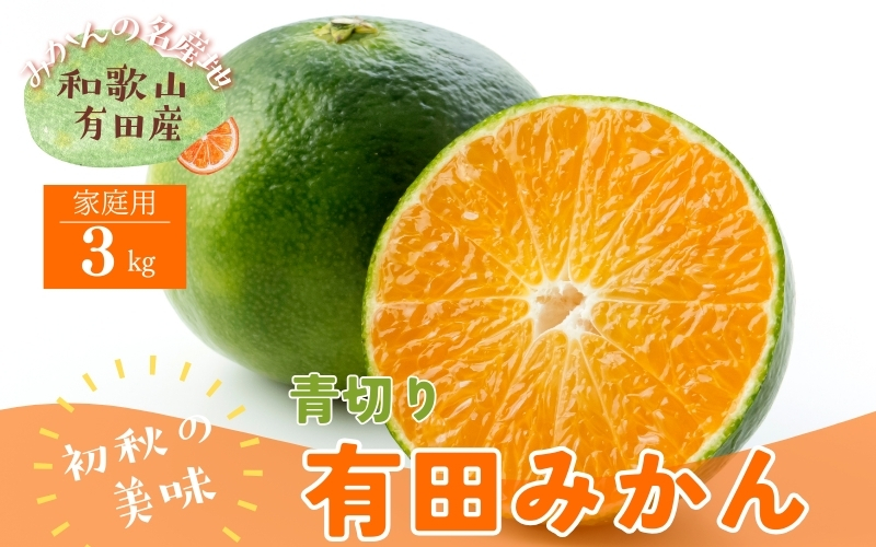 ＜9月中旬～＞【先行予約】ご家庭用青切り有田みかん　約3kg+200g(傷み補償分) ※着日指定不可 ※北海道・沖縄・離島は配送不可 ※2026年9月中旬～10月上旬頃に順次発送予定　【ard145B】