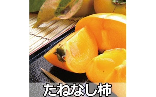採れたてタネなし柿　3Ｌサイズ28個入7.5kg箱 　※10月中旬～下旬に順次発送（日付指定不可）フルーツ 果物 くだもの 食品 人気 おすすめ 送料無料【art021A】