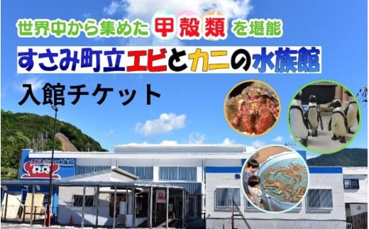  ＼たくさんの生物と触れ合える♪／　エビとカニの水族館 ３名様チケット【ebk002】