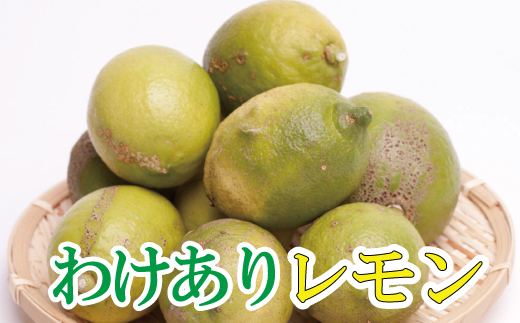 ＜先行予約＞家庭用　黒潮レモン 5kg+250g（傷み補償分）【和歌山有田産】【防腐剤・WAX不使用、安心の国産レモン】【わけあり・訳ありレモン】【ikd031C】