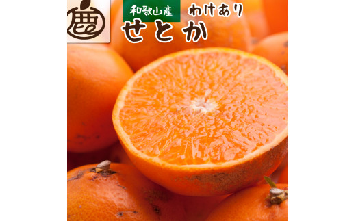 ＜2月より発送＞家庭用 せとか1kg+250g（傷み補償分）【柑橘・春みかんの王様】【わけあり・訳あり】【光センサー選果・食べ頃出荷】【ikd126D】
