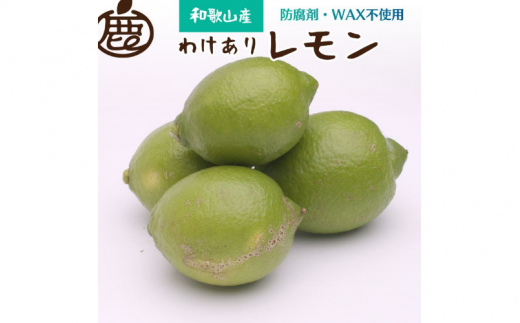 家庭用 黒潮レモン 1kg+250g（傷み補償分）【和歌山有田産】【防腐剤・WAX不使用、安心の国産レモン】【わけあり・訳ありレモン】 ※北海道・沖縄・離島への配送不可【ikd135B】