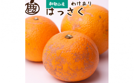 ＜先行予約＞家庭用はっさく2.5kg+250g（傷み補償分）【八朔みかん】【わけあり】＜1月より発送＞ ※北海道・沖縄・離島への配送不可【ikd139A】