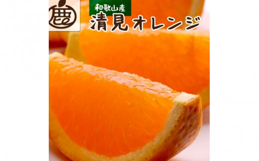 ＜2月より発送＞厳選 清見オレンジ2.5kg+250g（傷み補償分）【光センサー食頃出荷】【樹上完熟きよみオレンジ・清見タンゴール・清美】/ みかん くだもの 果物 オレンジ 和歌山 フルーツ きよみオレンジ【ikd165B】 