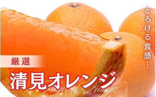 ＜2月より発送＞厳選 清見オレンジ1kg+250g（傷み補償分）【光センサー食頃出荷】【樹上完熟きよみオレンジ・清見タンゴール・清美】/ みかん 果物 フルーツ 和歌山 おすすめ くだもの 柑橘 オレンジ きよみオレンジ【ikd196B】 