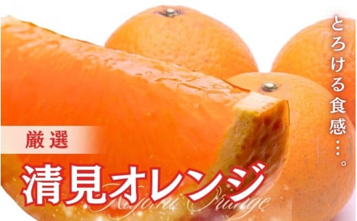 ＜2月より発送＞厳選 清見オレンジ5kg+250g（傷み補償分）【光センサー食頃出荷】【樹上完熟きよみオレンジ・清見タンゴール・清美】/ 和歌山 おすすめ 果物 くだもの 柑橘 みかん オレンジ きよみオレンジ【ikd198B】 