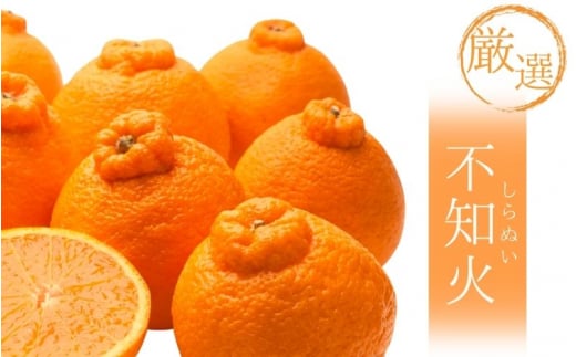 ＜2月より発送＞厳選不知火1kg+250g（傷み補償分）【デコポンと同品種・人気の春みかん】/ みかん ミカン 果物 フルーツ 和歌山 くだもの 【ikd207B】