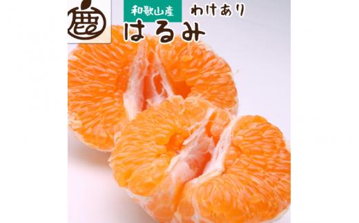 ＜2月より発送＞【先行予約】家庭用はるみ2.5kg+250g（傷み補償分）【デコポンの姉妹品種・新食感春みかん】【光センサー選別】【わけあり・訳あり】【ikd228】