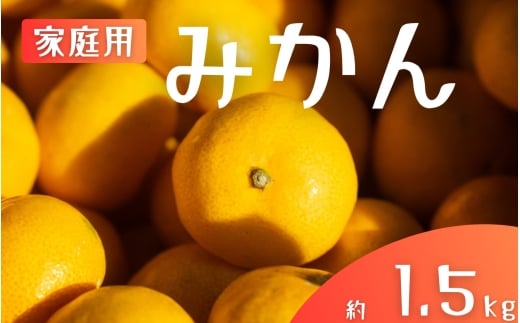 【ご家庭用】手選別 温州みかん 約1.5kg 和歌山県産 2S~2Lサイズ混合※2025年11月上旬～2026年2月中旬ごろに順次発送【mrmt006】 
