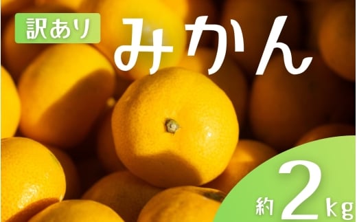 【訳あり】 森本農園の手選別 みかん 約2kg 和歌山県産 2S~2Lサイズ混合 【2025年11月上旬～2026年2月中旬ごろに順次発送】【mrmt008】 