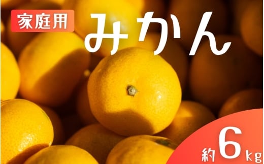 【ご家庭用】手選別 温州みかん 約6kg 和歌山県産 2S~2Lサイズ混合※2025年11月上旬～2026年2月中旬ごろに順次発送【mrmt030】 