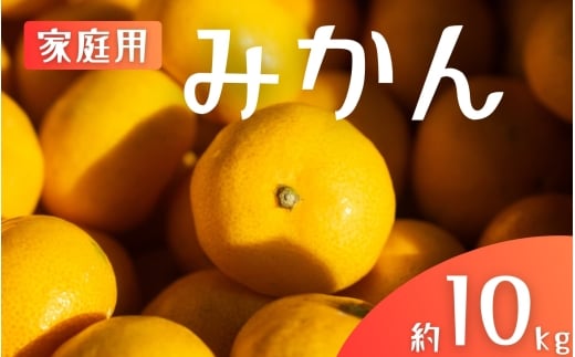 【ご家庭用】手選別 温州みかん 約10kg 和歌山県産 2S~2Lサイズ混合※2025年11月上旬～2026年2月中旬ごろに順次発送【mrmt031】 