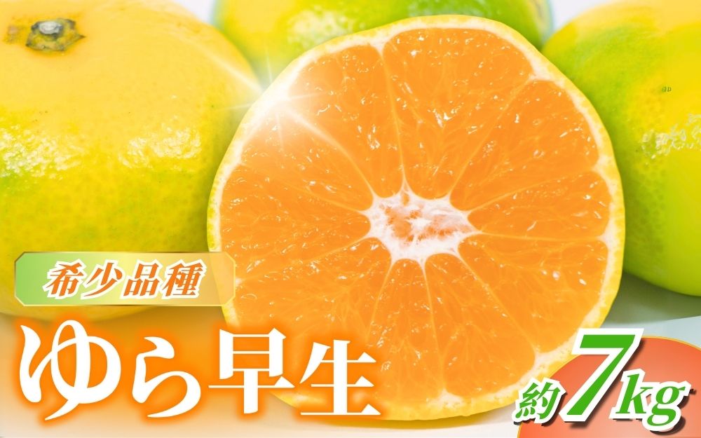 【来秋先行予約】＼光センサー選別／＼農家直送／甘くて濃厚！希少品種 ご家庭用 ゆら早生みかん約7kg　サイズ混合【10月上旬より発送】※北海道・沖縄・離島配送不可 / みかん ミカン 有田みかん 温州みかん 柑橘 有田 和歌山 産地直送【nuk002E】